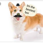 Profile Picture of Joshua Tobar (@jtobar170) on Instagram