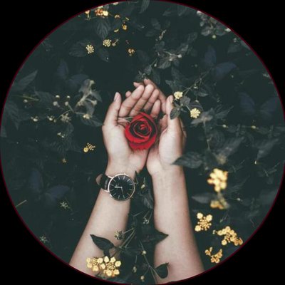 Profile Picture of Paúl Serrato Aquino (@AloneOneHit) on Twitter