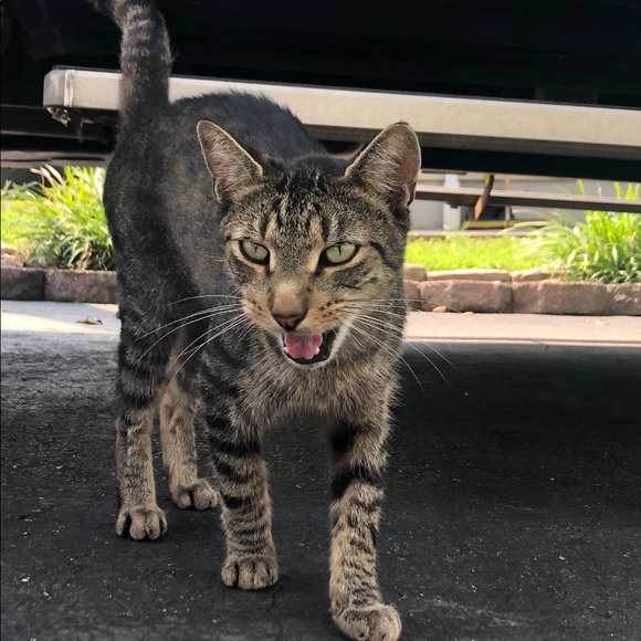 Chris Bellore - Poshmark Profile Picture of Chris Bellore (@chrispy9494) on Poshmark