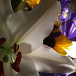 Profile Picture of Joe Fleischer (@joefleischer) on Instagram