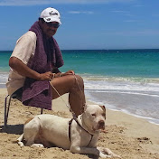 Paul Marchand - Youtube Profile Picture of Paul Marchand (@paulmarchand7912) on Youtube