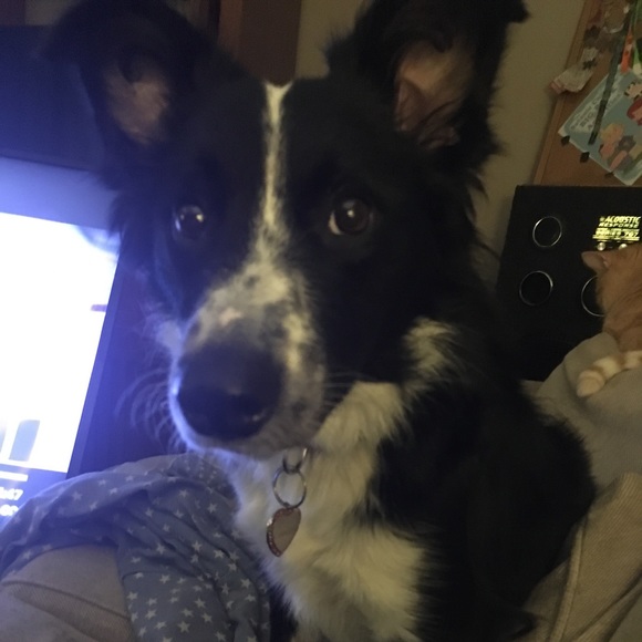 Profile Picture of Jessie Ramhoff (@jramhoff) on Poshmark