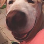 Profile Picture of Patrick Barragan (@patrick.barragan) on Instagram