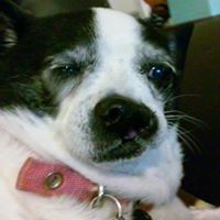 Profile Picture of Heath Wright (@heath-wright-14) on Quora