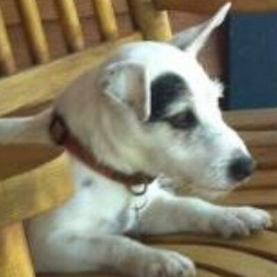 Profile Picture of Jeana Beaudry (@ChrisJeana) on Twitter