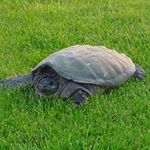 Profile Picture of Joe Arndt (@joeaarndt) on Instagram