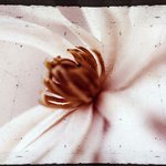 Profile Picture of Jeffery Waddell (@jefferywaddell) on Instagram
