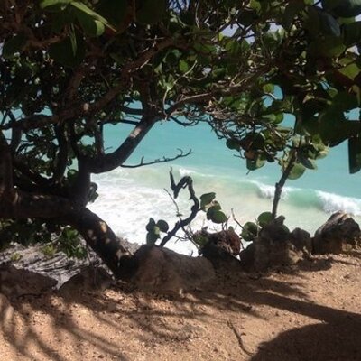 Profile Picture of Krista Robertson (@kristaread) on Twitter