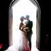 Profile Picture of danielle daoud (@mawnpaw) on Pinterest