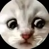 Profile Picture of Adam Sw (@adam.sw7) on Tiktok