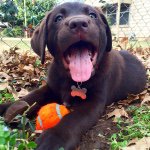 Profile Picture of Douglas Jacob Partlow (@thedougalmeister) on Instagram