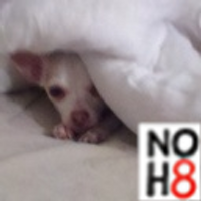 Profile Picture of Tabitha Joyce (@tjoycepinkypie) on Twitter