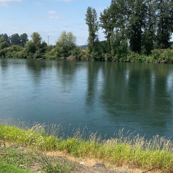 Profile Picture of Mariah Westerhuis (@swansong1111) on Poshmark