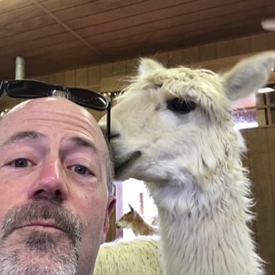 Profile Picture of Randy Allen (@randyallen44) on Twitter