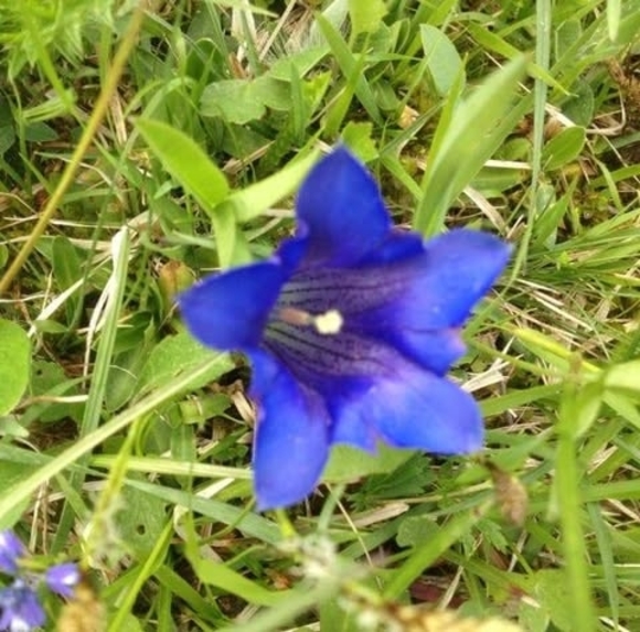 Profile Picture of Lin marie Haas (@linmarieh) on Poshmark