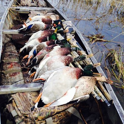 Profile Picture of Danny Carlson (@dannycarlson88) on Twitter