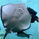 Profile Picture of Dan 