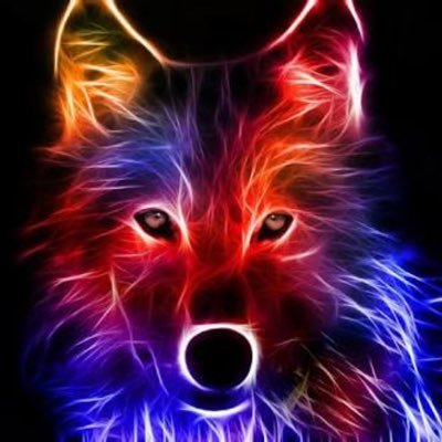 Profile Picture of Josh Bamford (@josh_bamford11) on Twitter