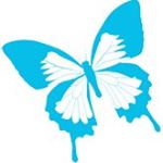 Profile Picture of Amber Cedar & Lynda McIntosh (@everlastingcreationsyyc) on Instagram