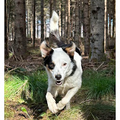 Profile Picture of Dave Cloutier (@davecloutier1736) on Youtube