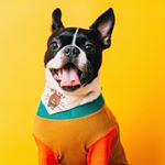 Profile Picture of 김덩크😈 (@kimdunk_) on Instagram