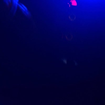 Profile Picture of Casey Mullins (@Caseybabi) on Twitter