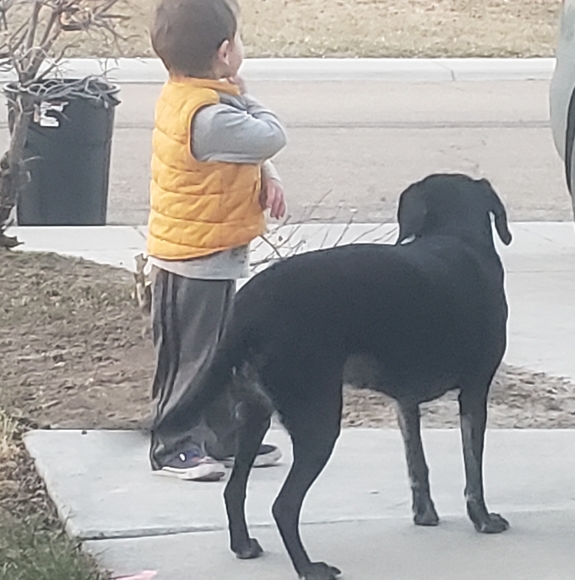 Profile Picture of Jessica Felkel (@tealstardust) on Poshmark