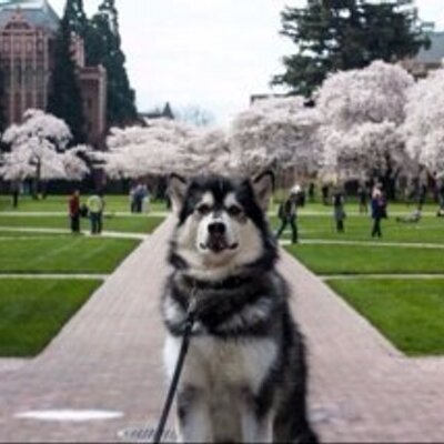 Profile Picture of Greg Grady (@GMGrady) on Twitter