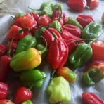 Profile Picture of Yahim James Manakasy (@Yahim-James-Manakasy) on Facebook