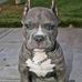Profile Picture of Shell Richardson (@shell.richardson.96) on Facebook