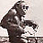 Profile Picture of James Cox (@chefjim23) on Flickr