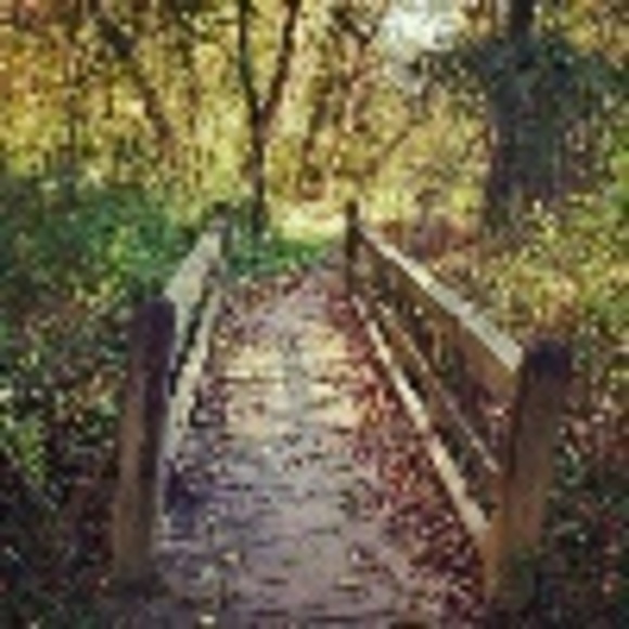 Profile Picture of Krystal Setar (@krystal64) on Poshmark