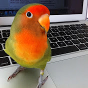 Profile Picture of Nancy Mak (@nancymak4546) on Youtube