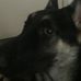 Profile Picture of Jonathan Covey (@jonathan.covey.560) on Facebook