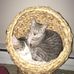 Profile Picture of Joy Harmon Edington (@joy.edington) on Facebook