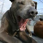 Profile Picture of cindy guidi (@guidi49) on Instagram