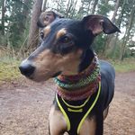 Profile Picture of bradadamson (@bradadamson) on Instagram