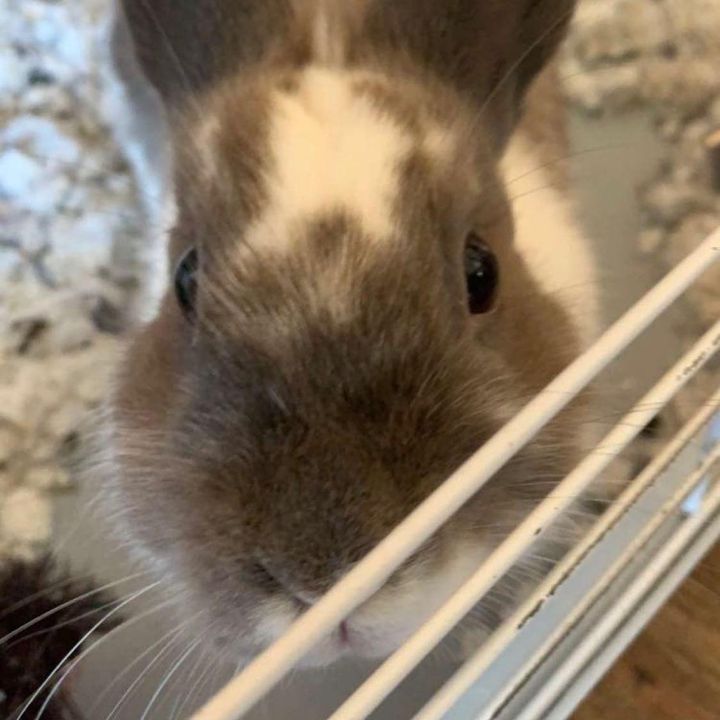 Profile Picture of adam (@adamfortniteeosndksxns) on Tiktok