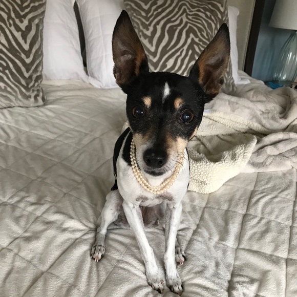 Profile Picture of Elaine Matyevich (@elainemm149) on Poshmark