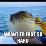 Profile Picture of Trey Steele (@jollytreyiii) on Instagram