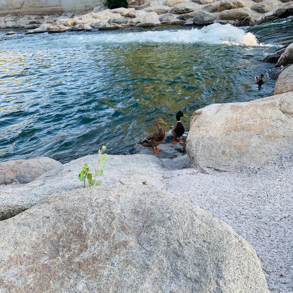 Profile Picture of Teshanna Herrod (@hqu7031) on Poshmark