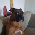 Profile Picture of Chad Gagnon (@waza_nolack) on Instagram