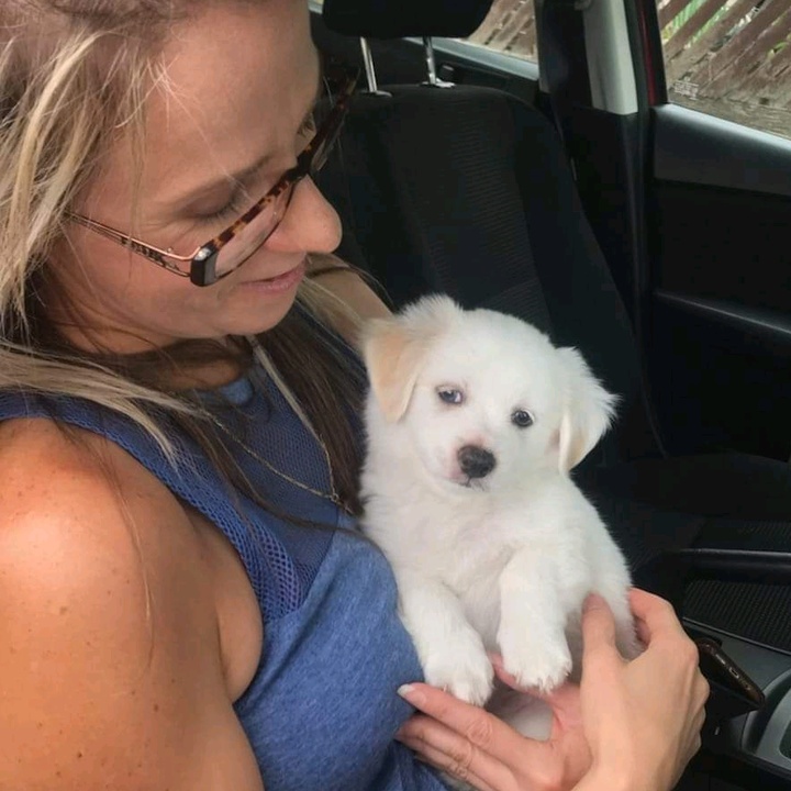 Profile Picture of Annette Crick (@@annettecrick) on Tiktok