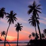 Profile Picture of Corey Rosen (@rosencorey) on Instagram