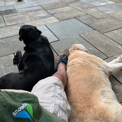 Profile Picture of Brian Knisely (@knisely_brian) on Twitter