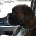 Profile Picture of Jim Sickles (@jim.sickles.1297) on Facebook