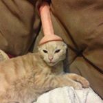 Profile Picture of Kylie Hahn (@kylies_finstaaa1) on Instagram