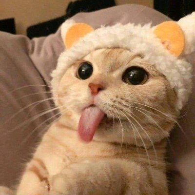 Profile Picture of Clair De Leon (@clairdeleon4) on Twitter