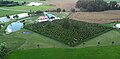 Profile Picture of Maze - Wikipediaon Wikipedia
