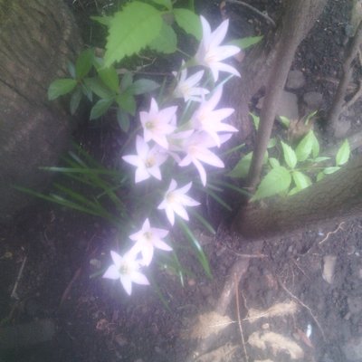 Walter Angulo - Twitter Profile Picture of Walter Angulo (@walterangulo79) on Twitter